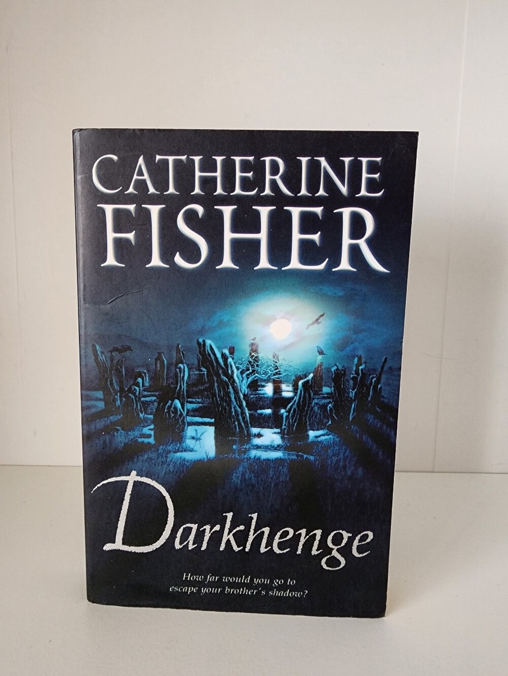 🖤3/$20 Darkhenge by Catherine Fisher YA Paperback Book